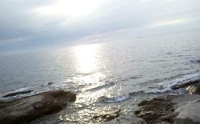 App Emona